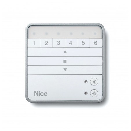 Télécommande NICE ERA W BD 6 groupes